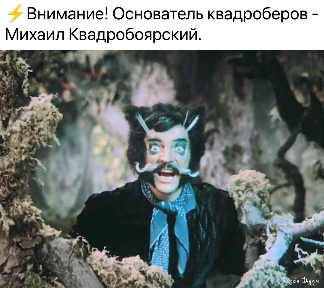 19453570.webp
