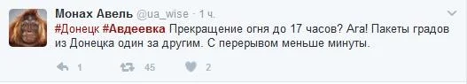 1948434.webp