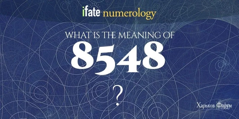 1959a0035fd74be2e9.webp
