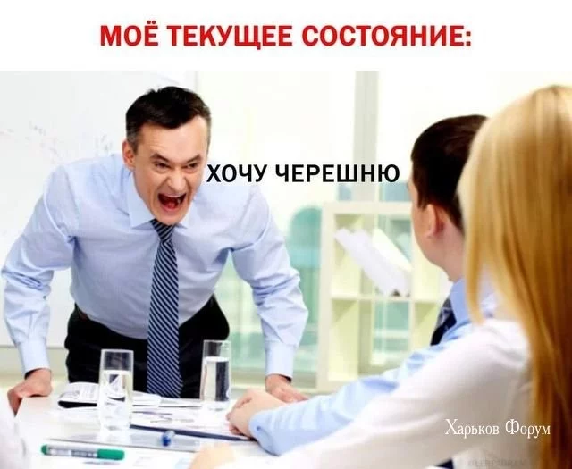 195cecfde0b10793998.webp