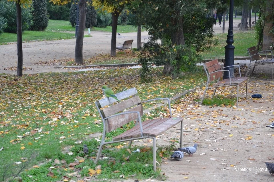 1962965ae68653660a8.webp