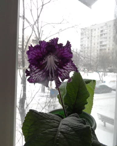 1964192_m.webp