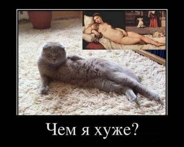 197189.webp