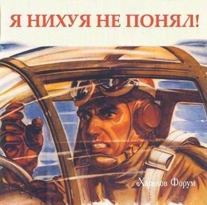 1972e3cd63b35a9d8d9b81.jpg