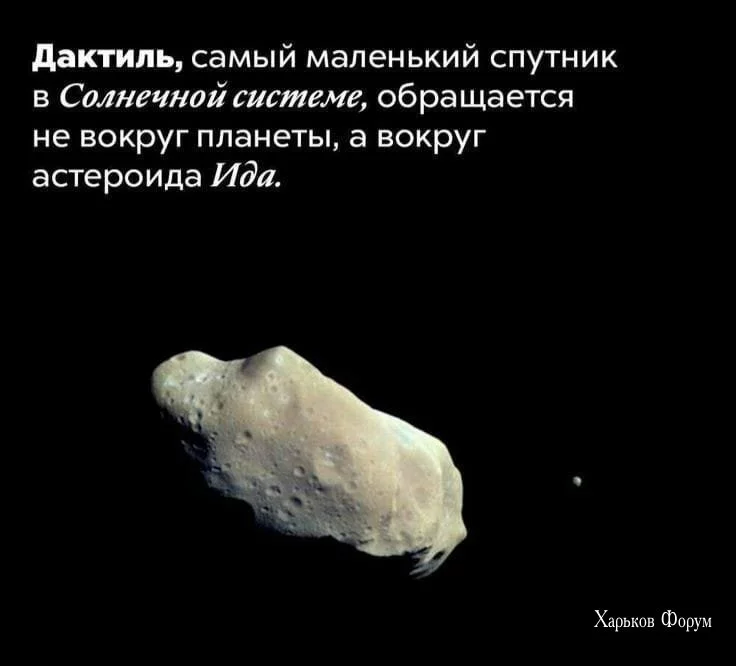 197932bb8a3415525.webp