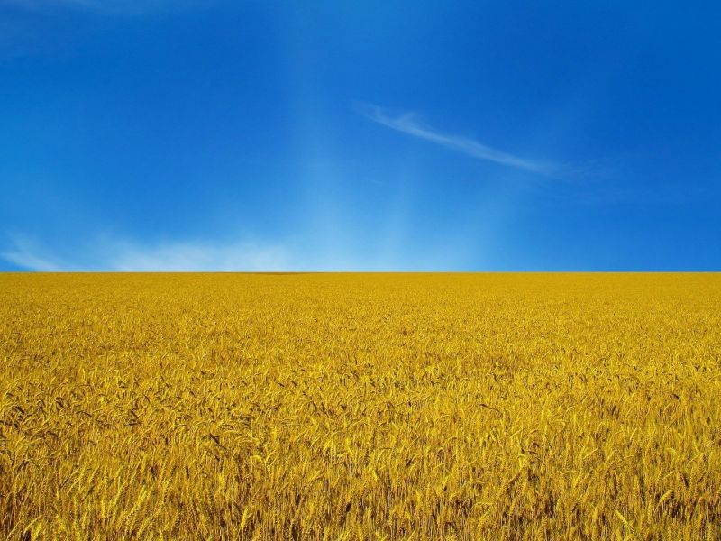 1986-ukraina-Ukraine-Flag-800x600.jpg