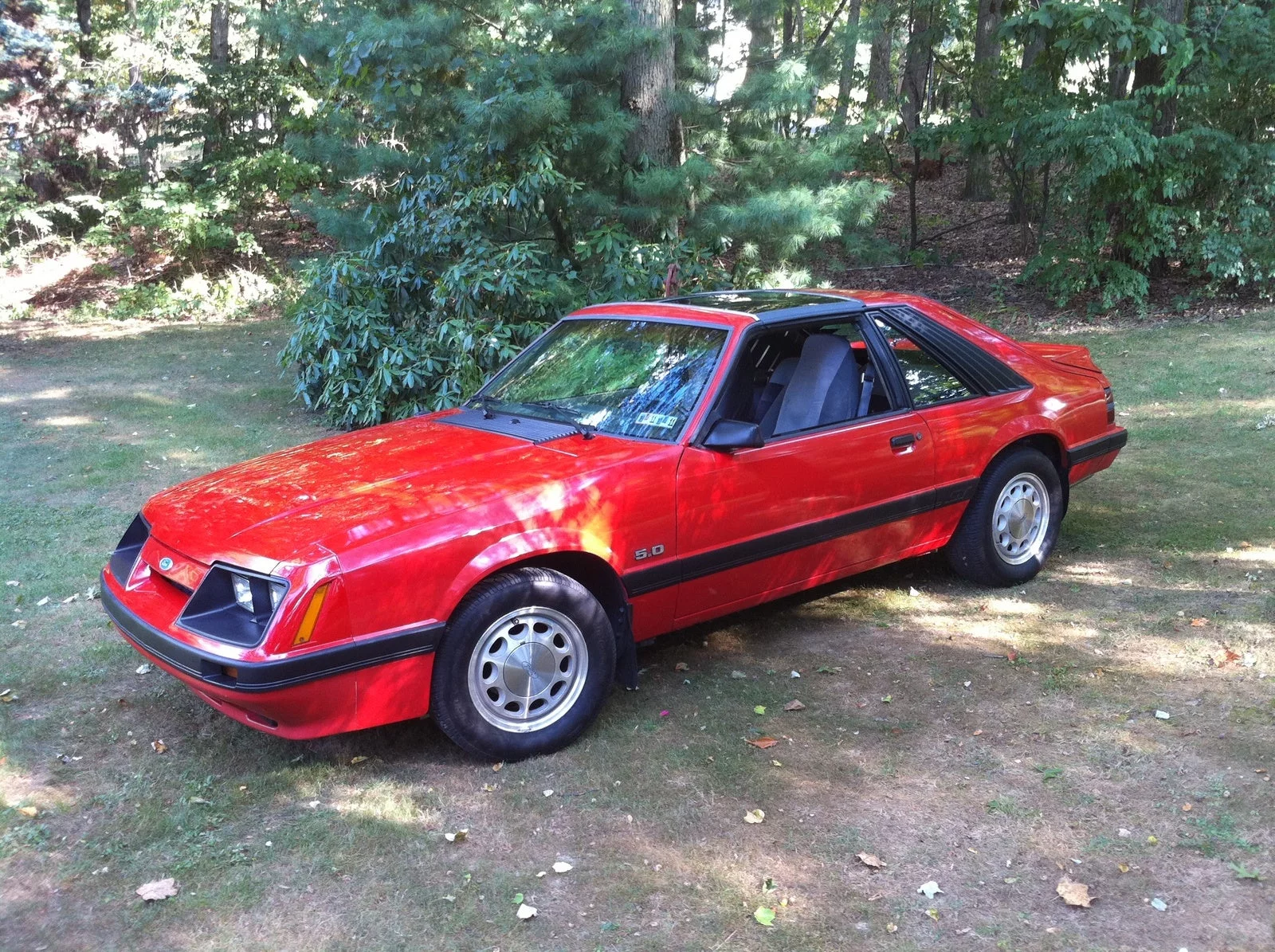 1986_ford_mustang_gt-pic-3195798490584817973.webp