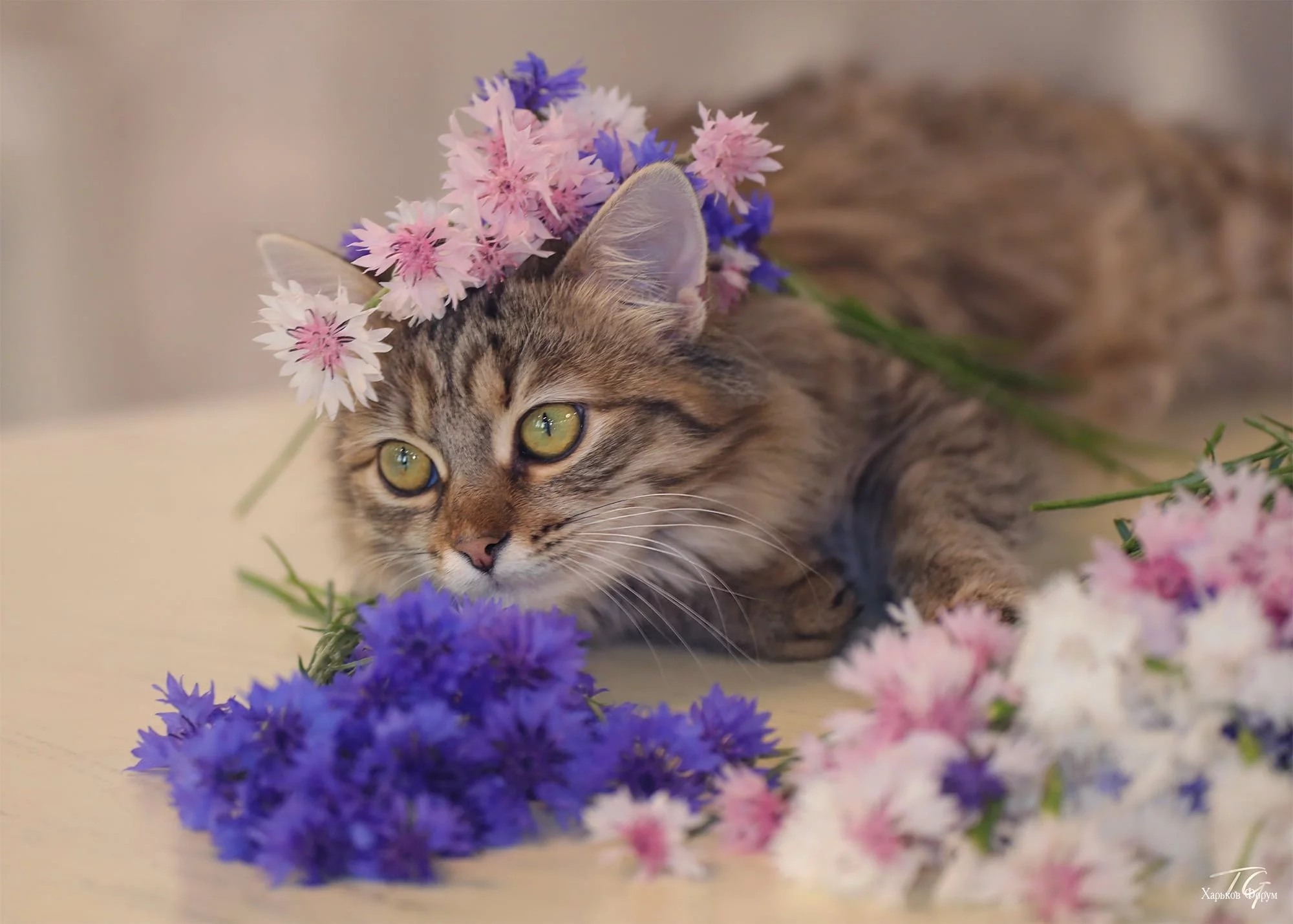 198a0f80f7978c45e501.webp