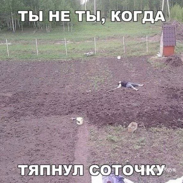 198ad421ae2408eccd8.webp