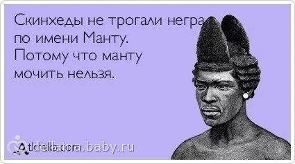 19954233.71019990.webp