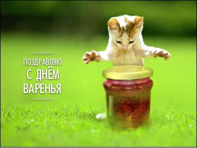 19997587.webp