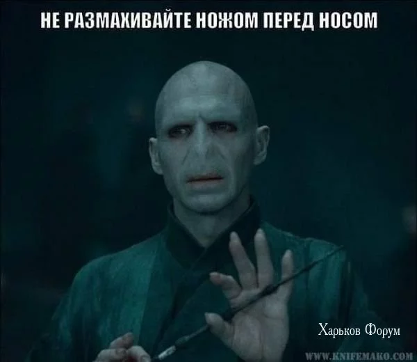 19b26a626fb3ec63e2c7c.webp