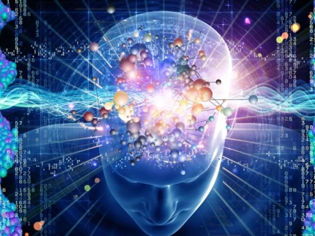 19b8bfdb-9469-4cb0-8554-69452d47181d.webp