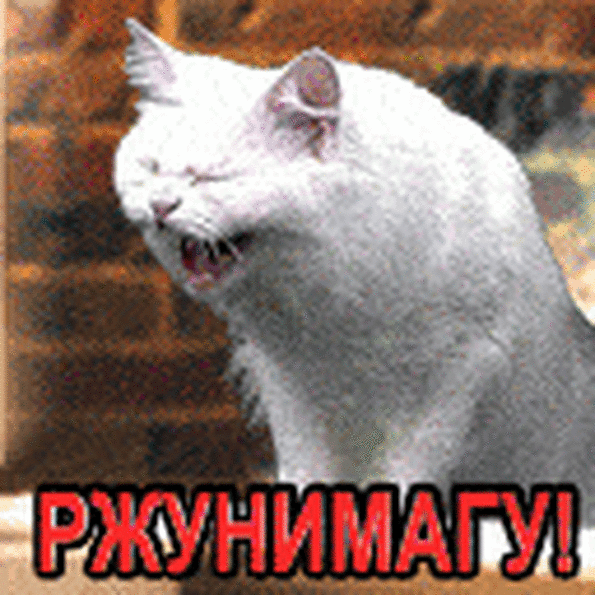 19ce5a58af2b816d27.gif