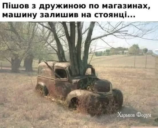 19d5ec95683f126e983.webp
