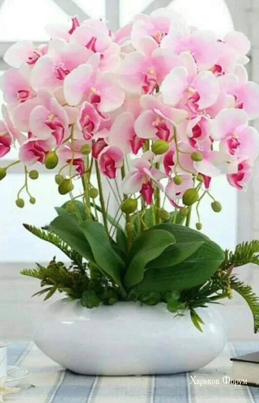 19d6111553b13e76a.webp