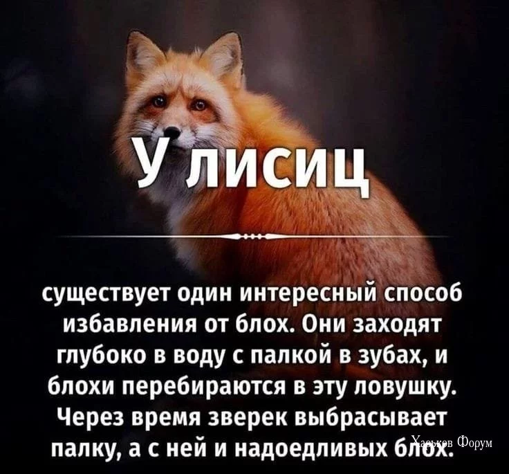 19dd4cde0560ba662.webp