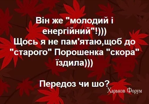 19e9027371fc532ccf5.webp