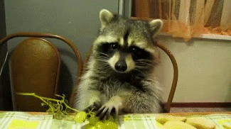 1_018.gif