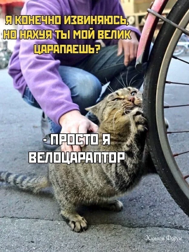 1a266a57aad98e97c5ee0c1.webp
