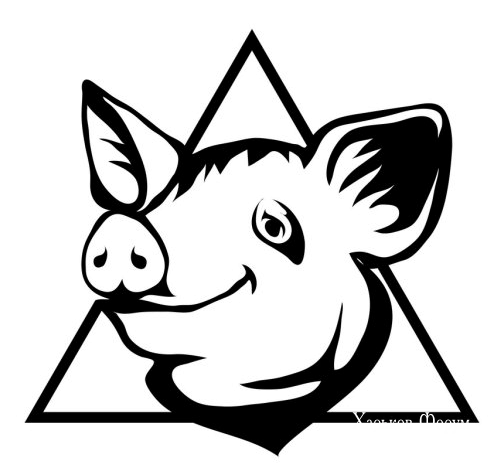 1a2faa4821ad330d44e14fa.webp