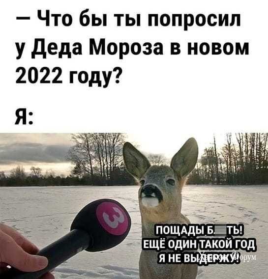 1a47809046492da20b50c.jpg