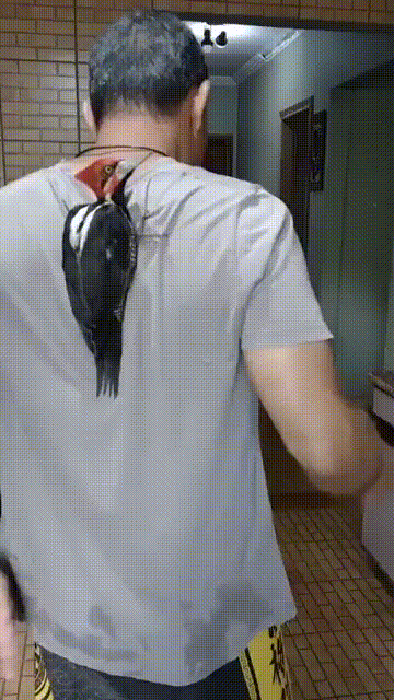 1a47a580f48d9d2ca1c2eaf1.gif