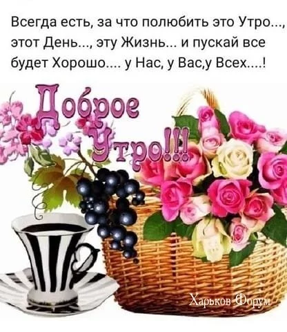 1a550a64562922318f.webp