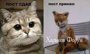 1a5948bdfe2338c38f9d9e.jpg