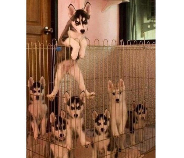 1a5a15a06e5c2474496f07c6d22ff2d9.jpg