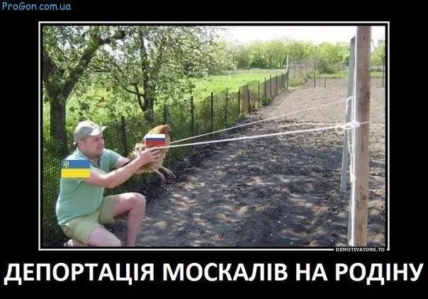 1aacec.webp