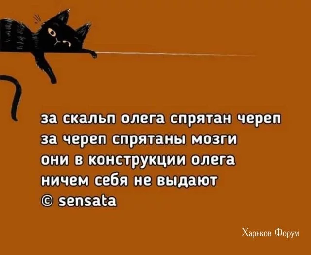 1ac2074f29cec3055910ae13.webp