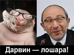 1acfha.webp