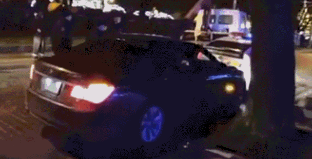 1adb918e4dccb07c0bef49.gif