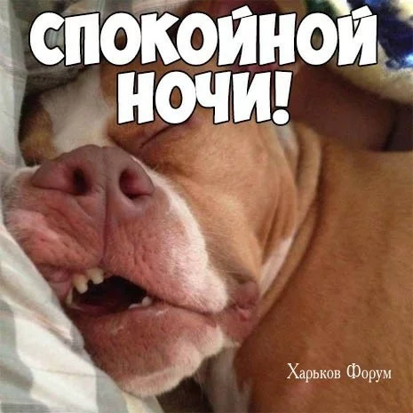 1af4916115be7e56ae2bf.webp