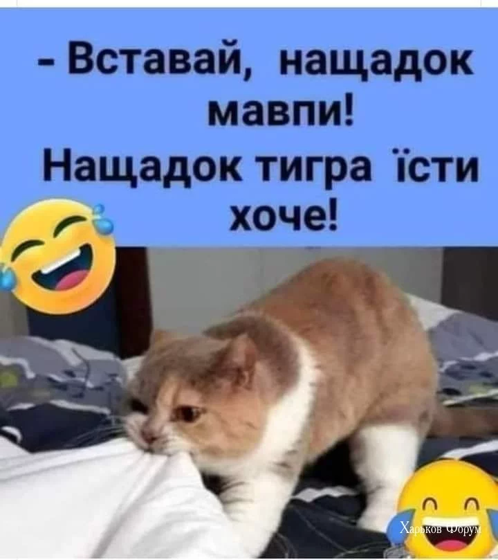 1b0c24ccb8b35acc.webp