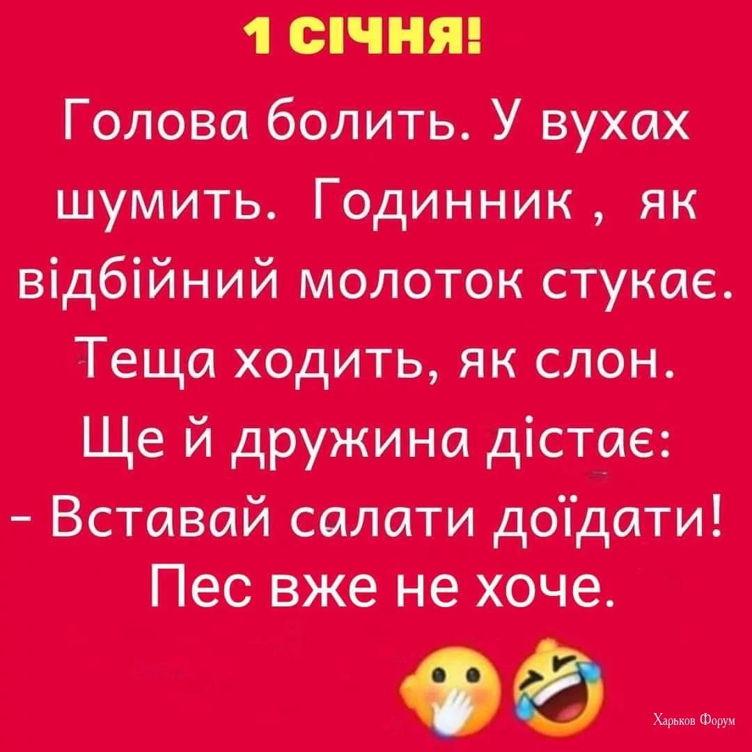 1b412e7cc1f4b9cff.webp