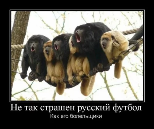 1b43e81548.webp