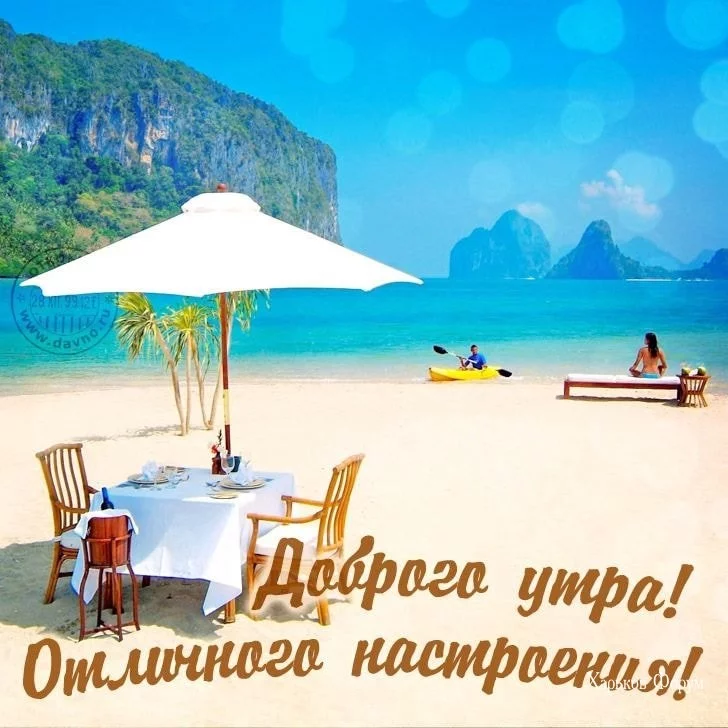 1b461fde6a4686cc95b4d.webp