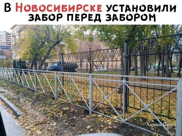 1b4b9b99b48ce8093ae940df.webp