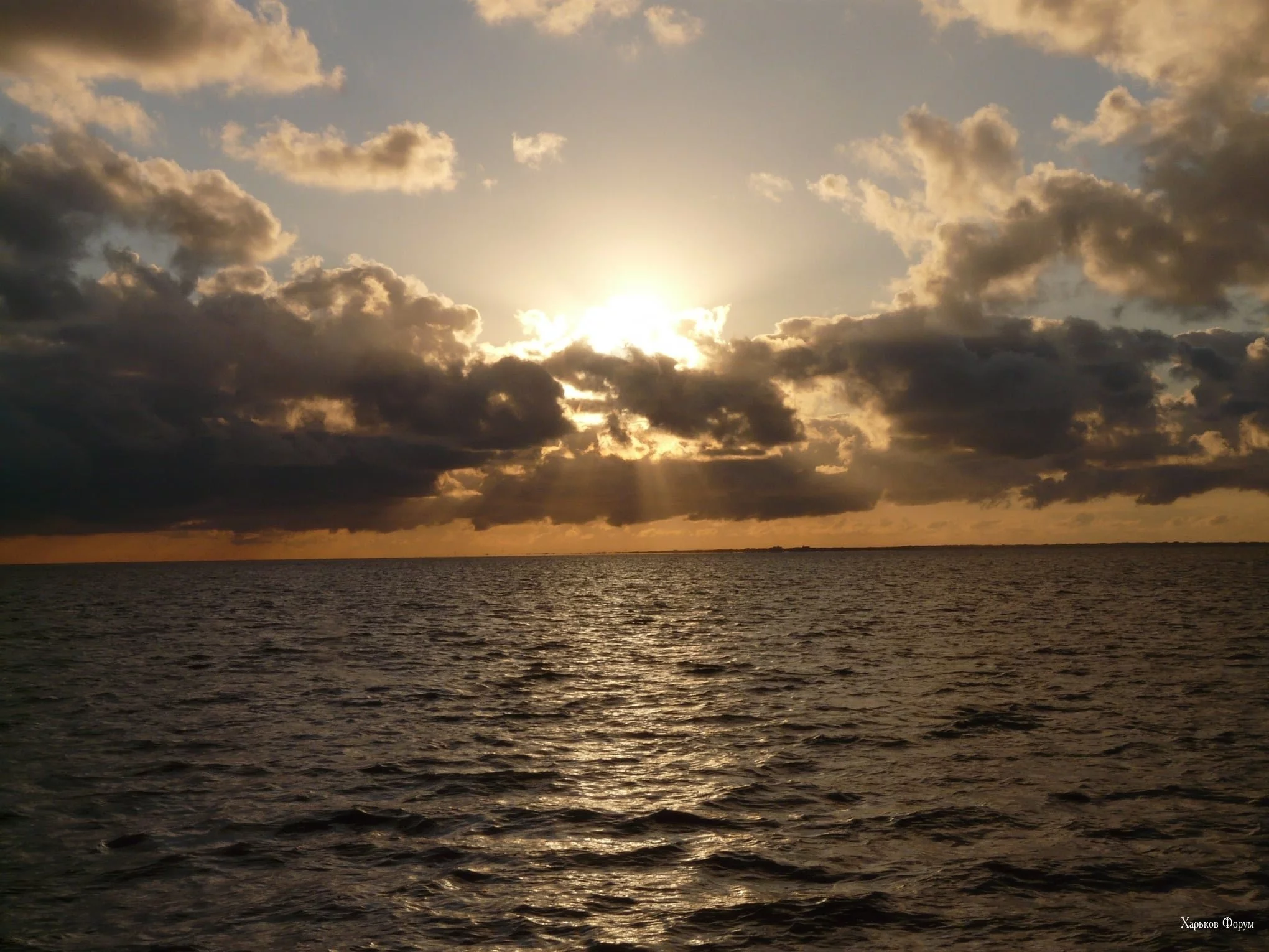1b50c6d128acdff1.webp