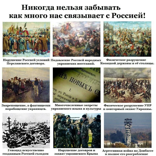 1B5kJY8xAJc.webp