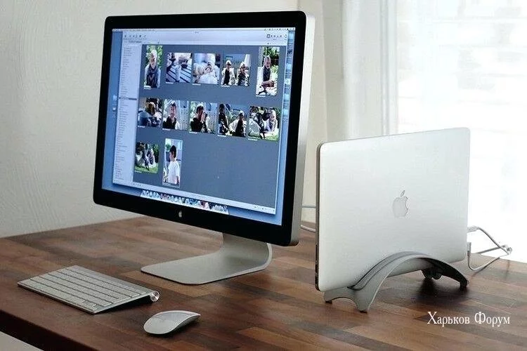 1b6a6dd7fa0e056ef74.webp