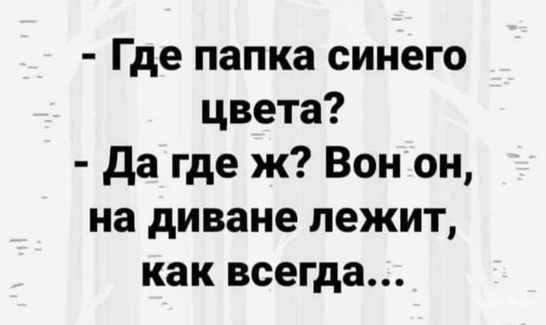 1b700383ca8f10e975c13c.jpg