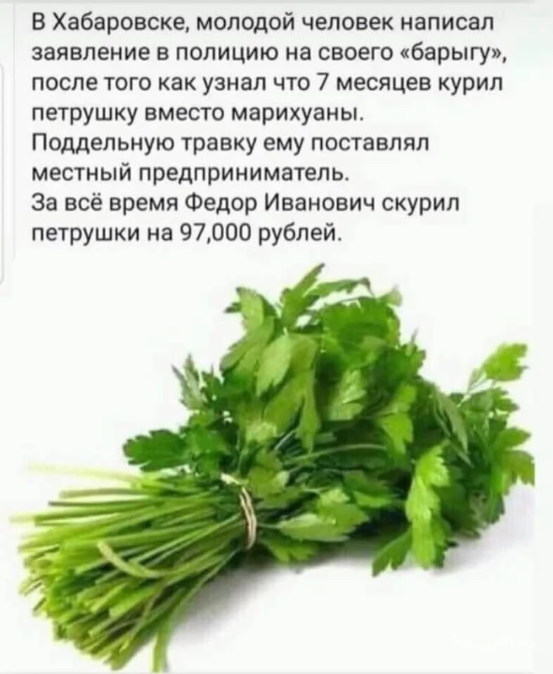 1ba7c6a1a3387ee8d8d01e.webp