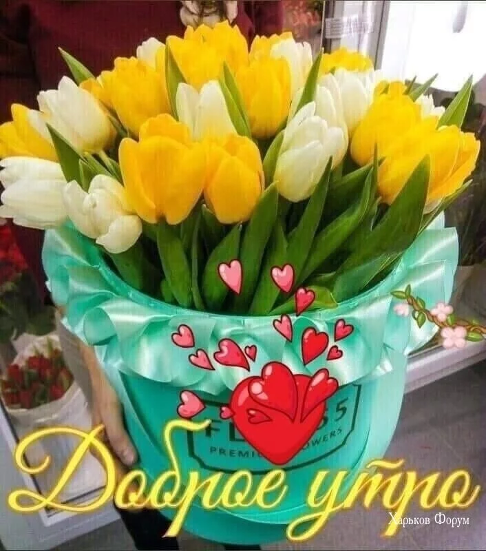 1ba7e7b82cef21a1fada57dc.webp