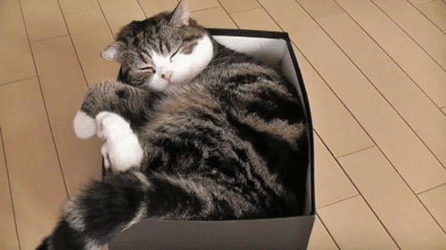 1baa5752ef048e73f0478f.gif
