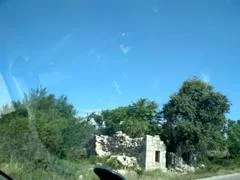 1babjj.webp