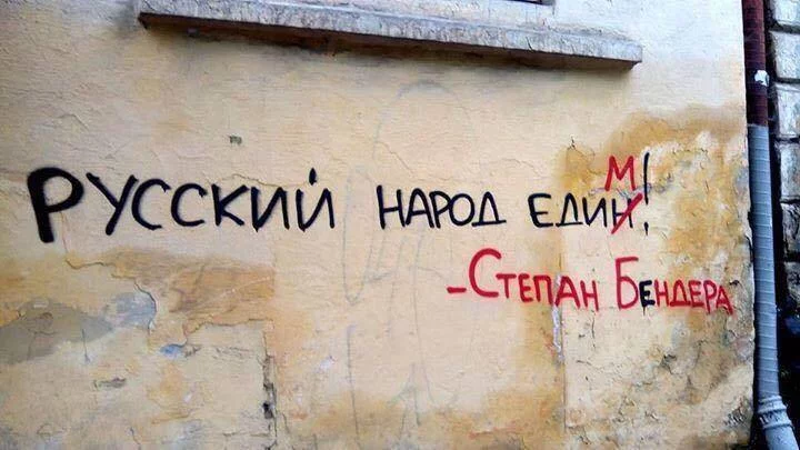 1bbeed.webp