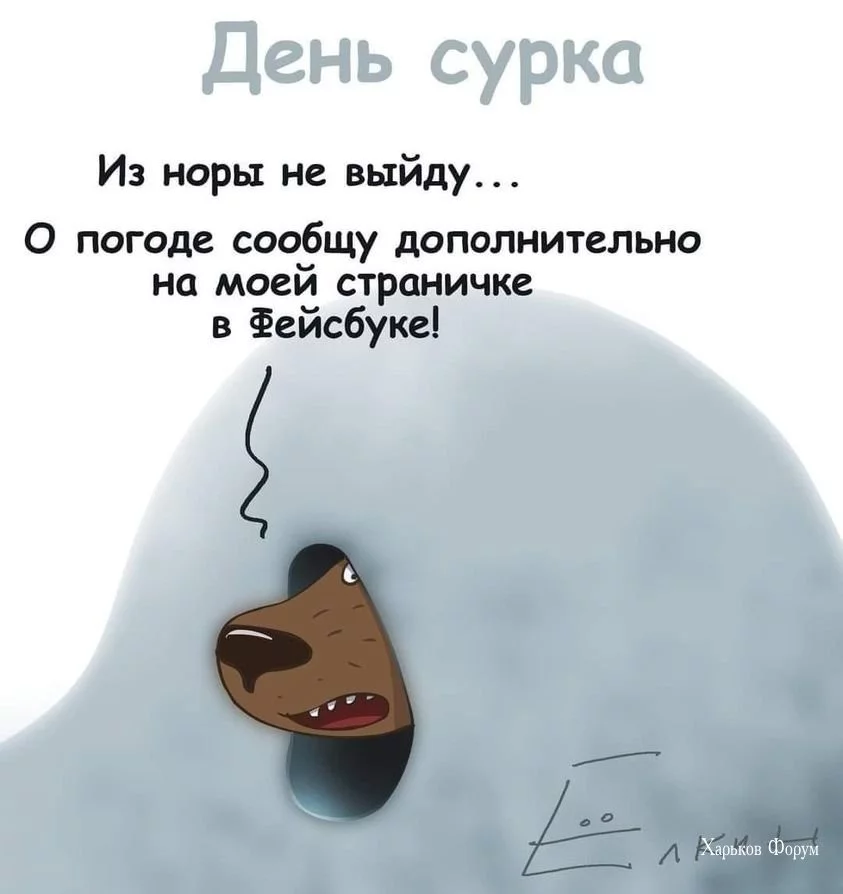 1bc406930c688503.webp